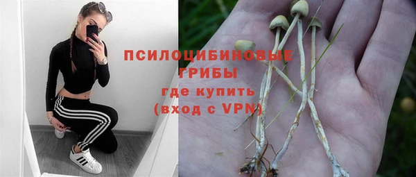 винт Алексин
