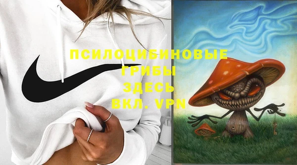 эйфоретик Алзамай