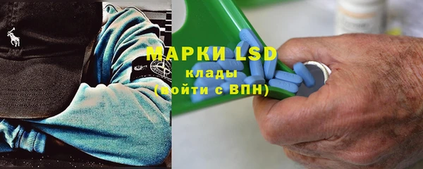 эйфоретик Алзамай